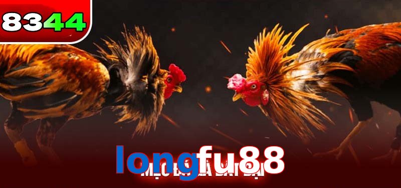 Đá gà longfu88 có sức hấp dẫn